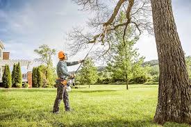 Best Soil Testing and Treatment  in Angels, CA